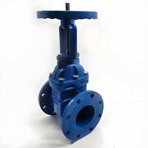 手動(dòng)閘閥Z41T-16 DN50/DN65廠家直銷，上海發(fā)